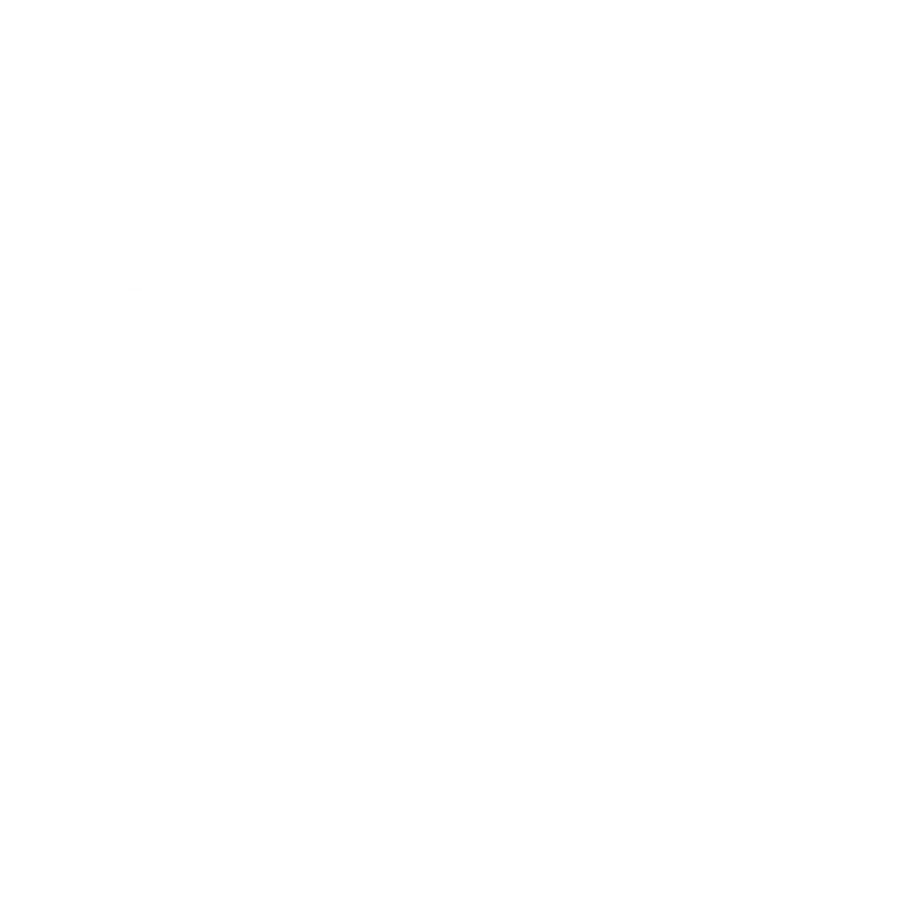 Logo RV COLLECTION blanco